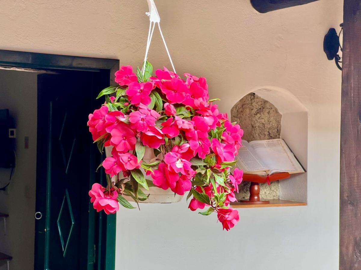Hotel San Gabriel El Cocuy المظهر الخارجي الصورة